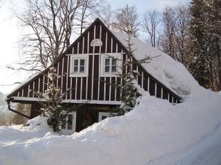 Chalupa Paseky - Paseky nad Jizerou - 7