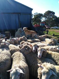 Heartland Hideaway - 6