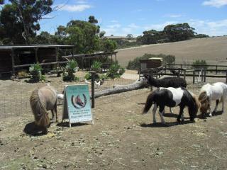 Heartland Hideaway - 8