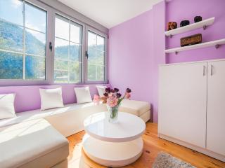 Apartments Princess View - Sveti Stefan - 1