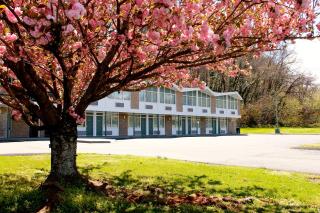 Colony House Motor Lodge - Roanoke - 3
