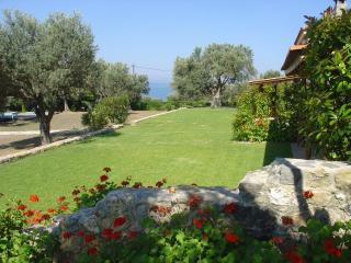 Alilea - 6