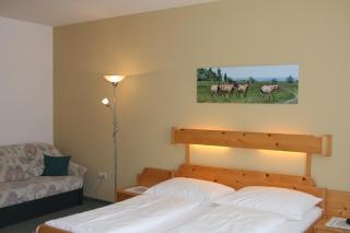 Pension & Weingut Storchenblick - Illmitz - 2