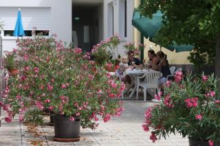 Pension & Weingut Storchenblick - Illmitz - 6