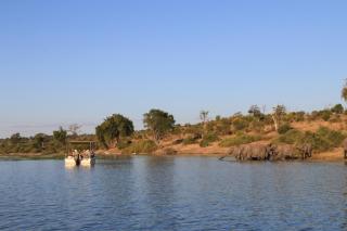 Chobe River Camp - Ngoma - 6