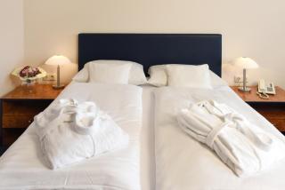 Hotel Arkadia - Friedrichsdorf - 5