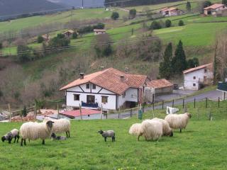 Agroturismo Kasa Barri - Bermeo - 7