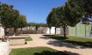 Entre Pinos - El Palmar - 6