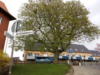 Ferienwohnung Am Schwanensee - Plön - 2