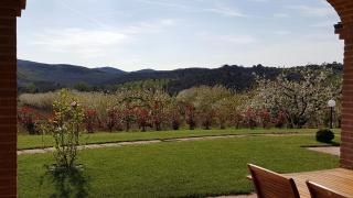 Il Giardino dei Ciliegi - Cura Nuova - 3