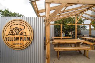 Camping Yellow Plum - 9
