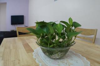 Taiping Cozy Homestay - 5