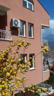 Boris & Matej Apartments - 9