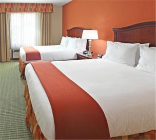Holiday Inn Express Hotel & Suites Henderson - Traffic Star by IHG - Henderson - 4