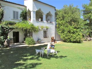 Agriturismo "Borgo Madonna degli Angeli" - charming cottages in the gardens ! - Tocco da Casauria - 0