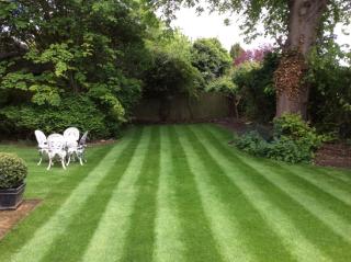 The Old Rectory - Kings Lynn - 2