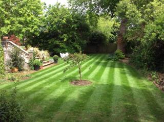 The Old Rectory - Kings Lynn - 1