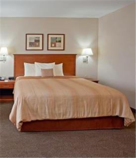 Candlewood Suites Houston I-10 East by IHG - Houston - 5