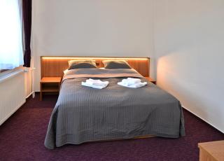 Hotel Sonata - Hradec nad Moravici - 7