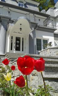 Leśna Polana- blisko centrum, Mini Spa, cicha, spokojna okolica, parking gratis - 9