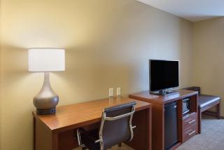Comfort Inn & Suites Zachary - Zachary - 5