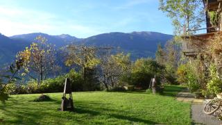 Luxus Chalet Mühlermoos - Ramsau im Zillertal - 4