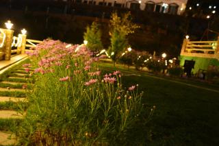The Golden Peak, Hotel - 3