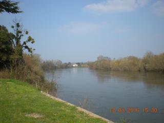 Le Manoir de la Riviere - Saint-Seurin-de-Prats - 5