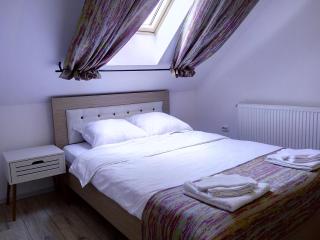 Vila Slanic - Slănic - 6