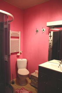 La Maison des Chats - Saint-Mary-le-Plain - 3