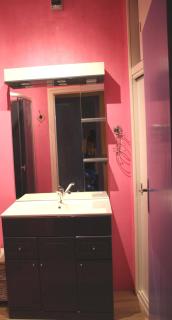 La Maison des Chats - Saint-Mary-le-Plain - 4
