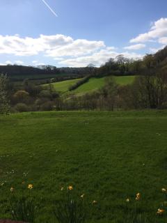 Sid Valley Country House Hotel - Sidmouth - 6