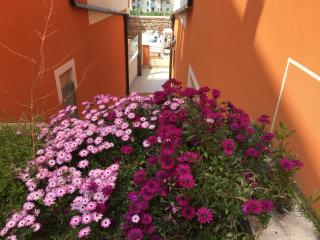 Apartment Olga - Pizzo - 4