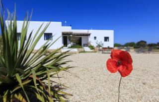 Can Coques - Sant Francesc Xavier - 9