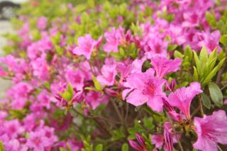 Namwon Hotel - Namwon - 3