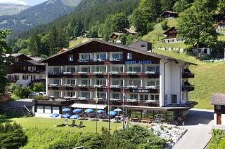 Hotel Restaurant Alpina - Grindelwald - 1