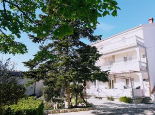Pahljina Apartments - Rab - 0