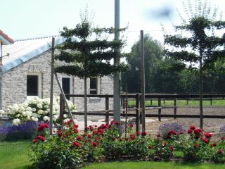 B & B " De 7 Sprong " - Sevenum - 0