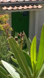 Apartment love Cvita,amazing sea view - 1