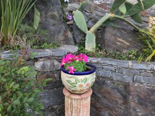 Casa San Martino - Ronco sopra Ascona - 2