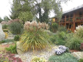 Farma Wenet - Broumov - 1