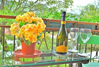 B&B Marienn - Gavardo - 6