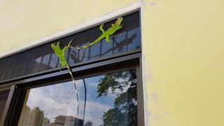 Yellow House - Quepos - 0