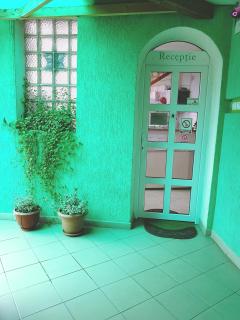 Pensiunea Verde - Cluj-Napoca - 3