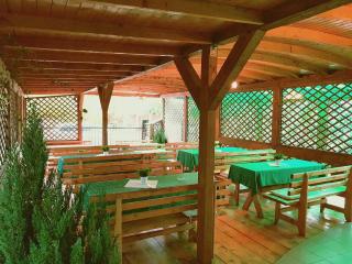 Pensiunea Verde - Cluj-Napoca - 4