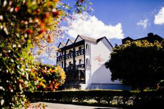Hotel Altes Winzerhaus - Cochem - 7