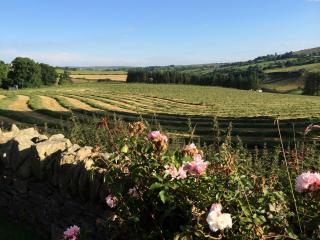 The Bothy Self Catering Accommodation - 5
