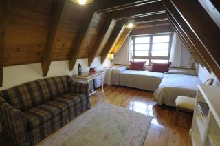 Apartament Araneu - Vielha - 5