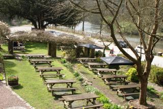 Royal Lodge - Symonds Yat - 2