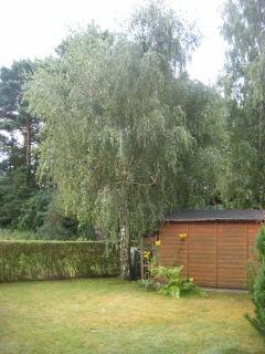 Ferienhaus Marleen - Pritzier - 8